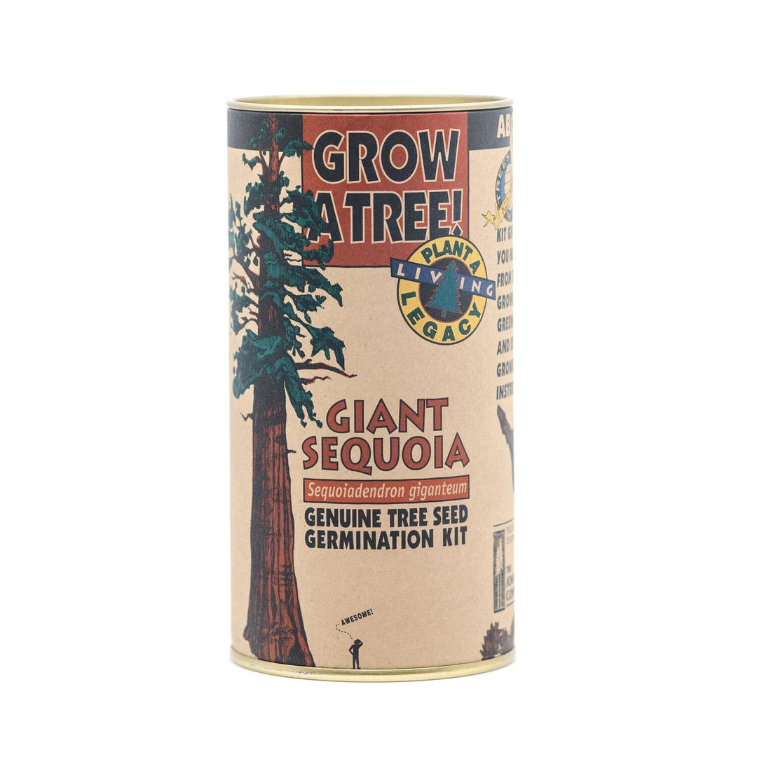 Seed Grow Kits