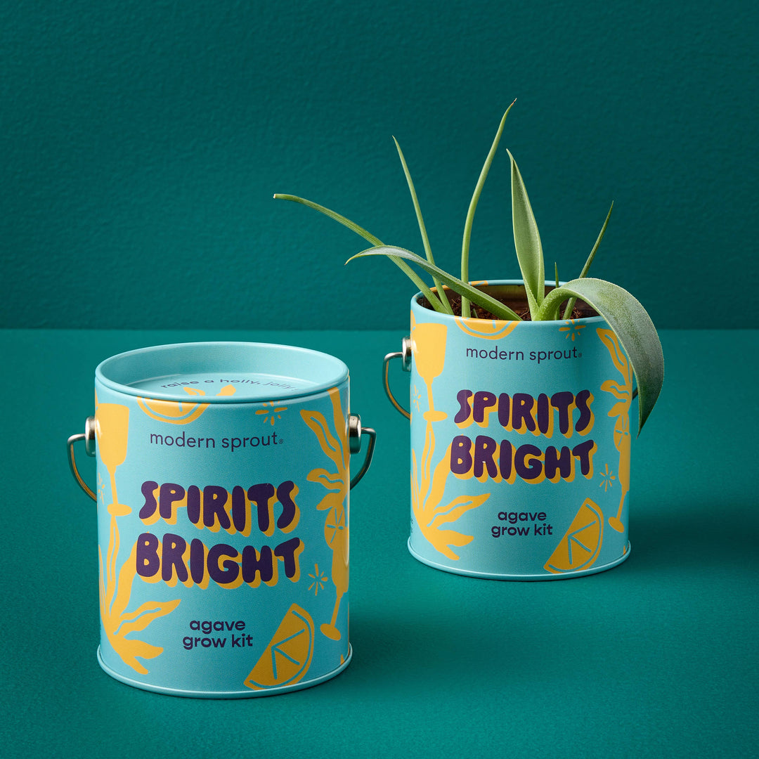 Holiday Complimentary Colors Grow Kits