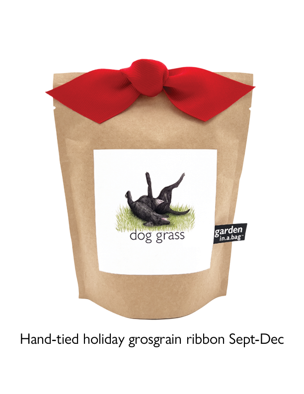 Garden in a Bag - Dog Grass