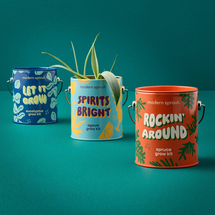 Holiday Complimentary Colors Grow Kits