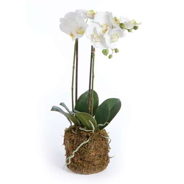 23" Faux Orchid - White