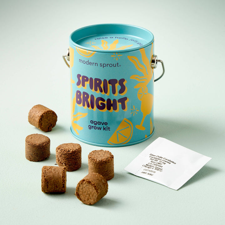 Holiday Complimentary Colors Grow Kits