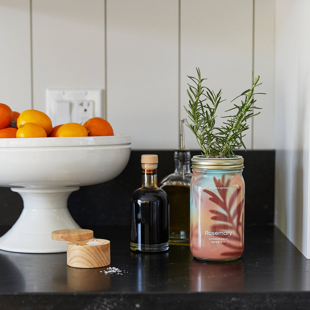 Herb Garden Jar