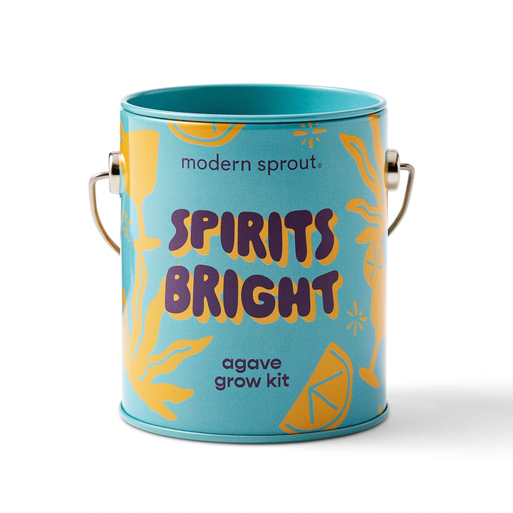 Holiday Complimentary Colors Grow Kits