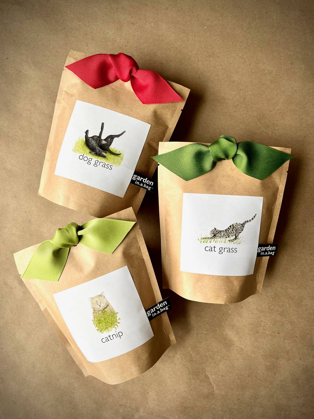 Garden in a Bag - Dog Grass