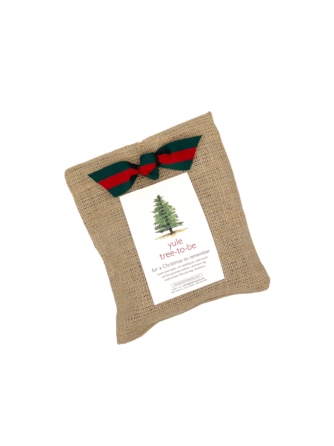 Christmas Tree to Be