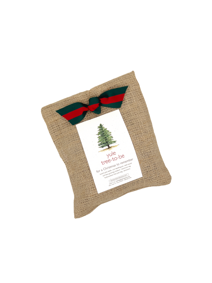 Christmas Tree to Be