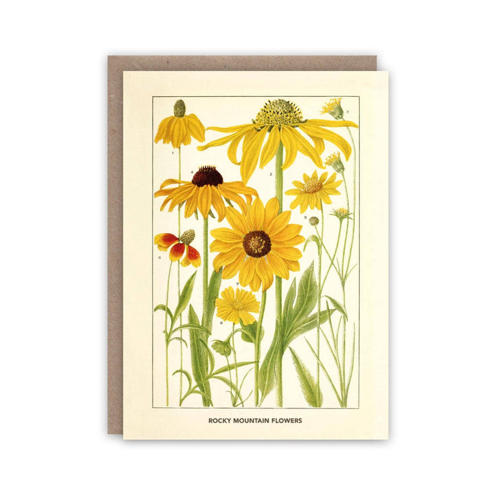 Rocky Mountain Flowers Notecard Set
