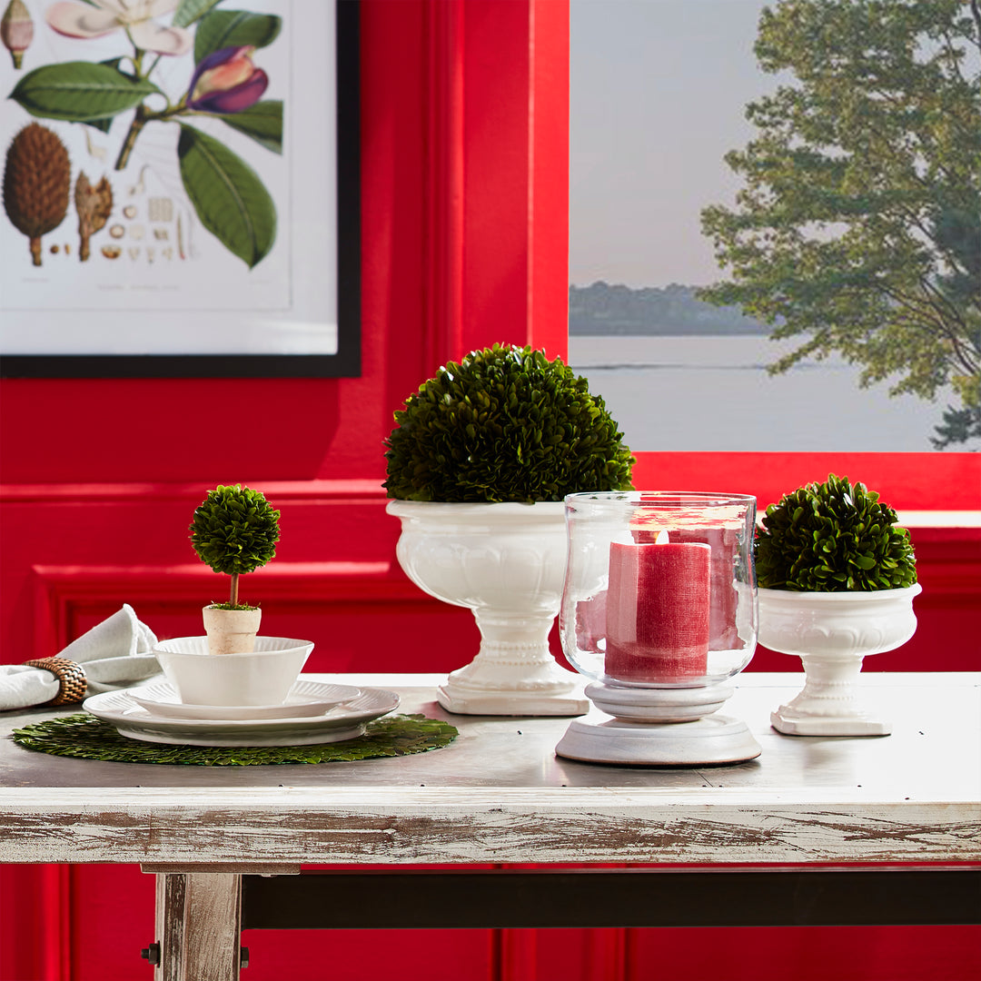 Preserved Boxwood Ball