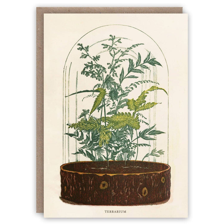 Terrarium