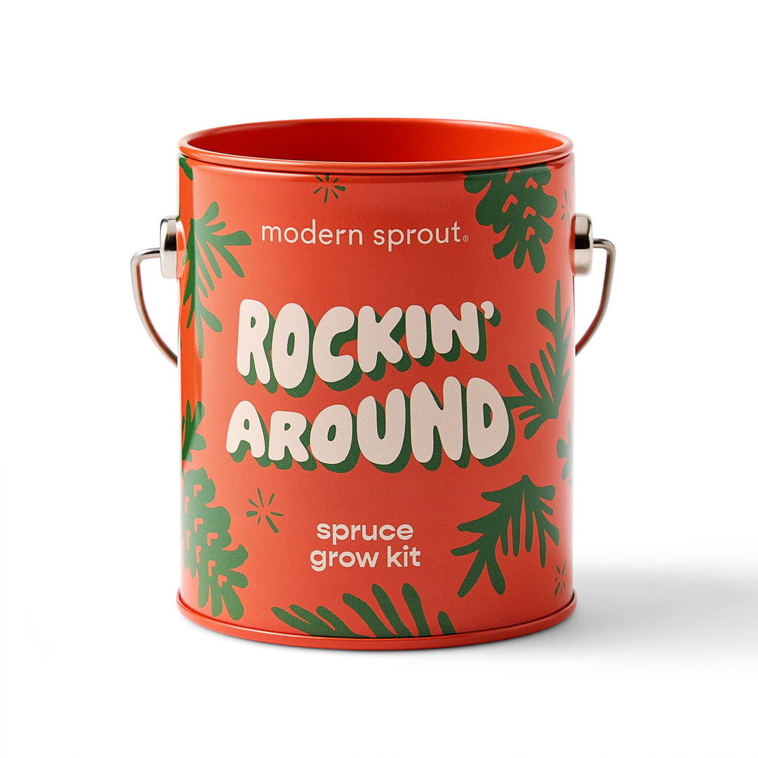 Holiday Complimentary Colors Grow Kits