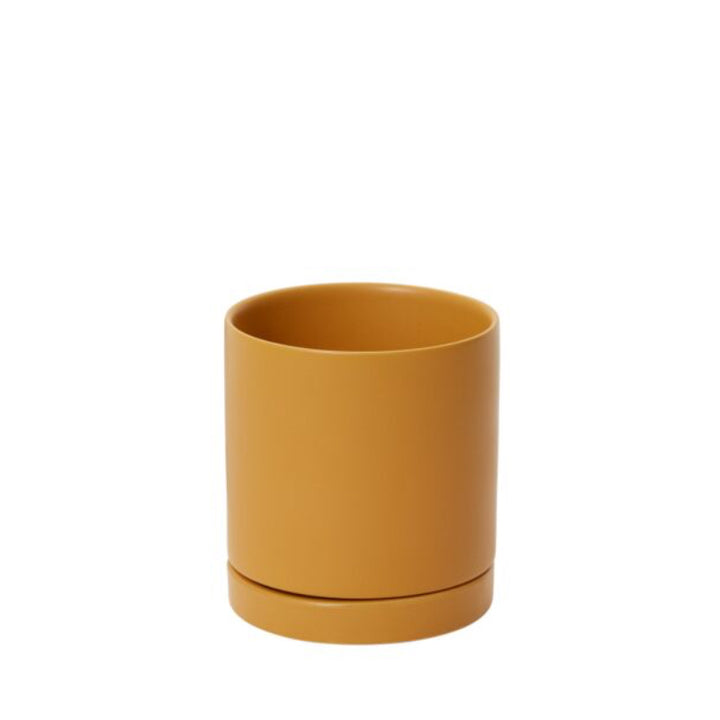 Neutral Pot with Saucer