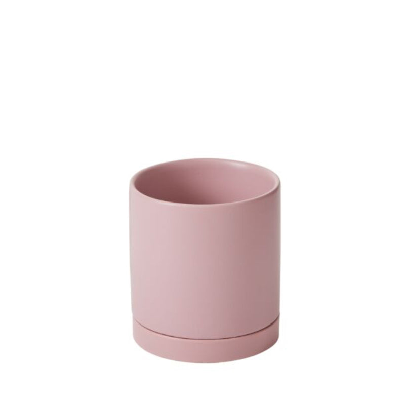 Neutral Pot with Saucer