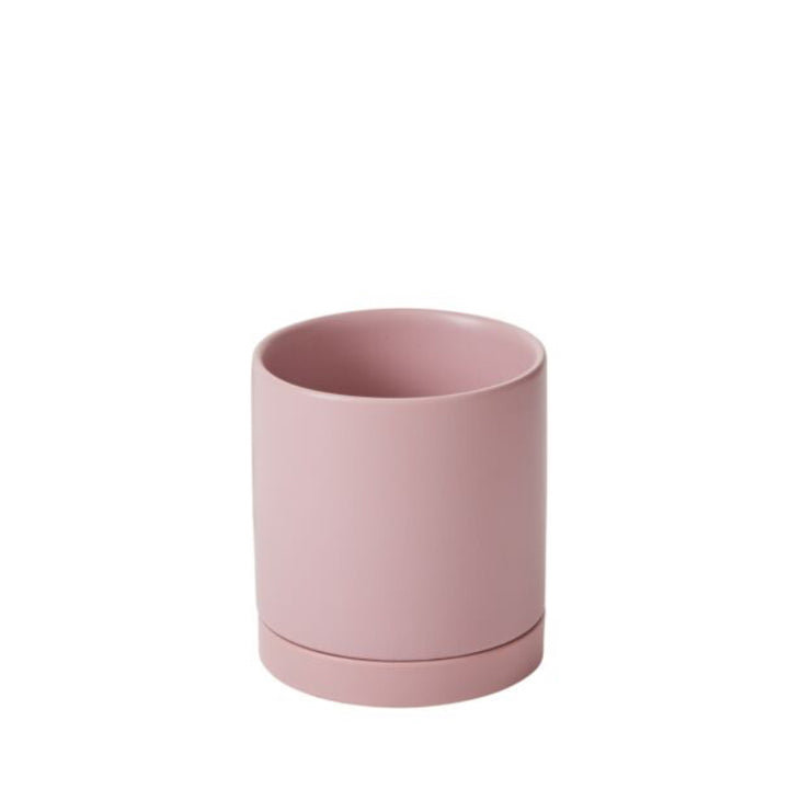 Neutral Pot with Saucer