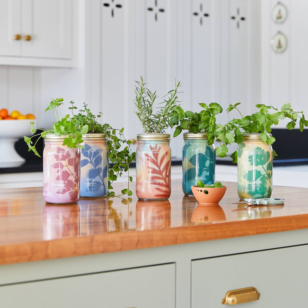 Herb Garden Jar