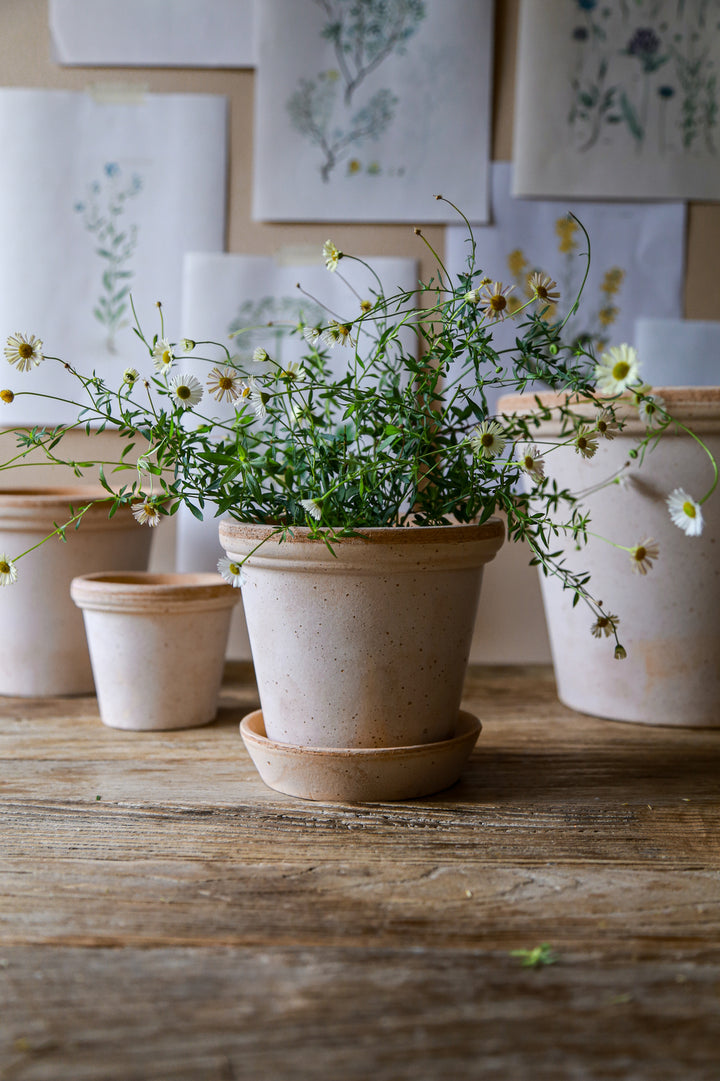 Bergs Double Rim Pot
