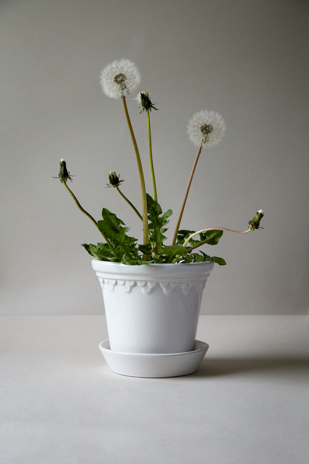 Bergs Double Scallop Pot