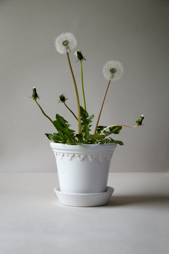 Bergs Double Scallop Pot