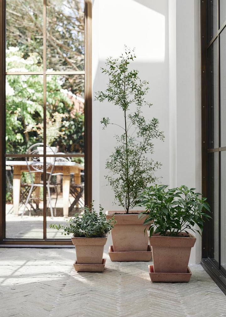 Bergs Square Pot