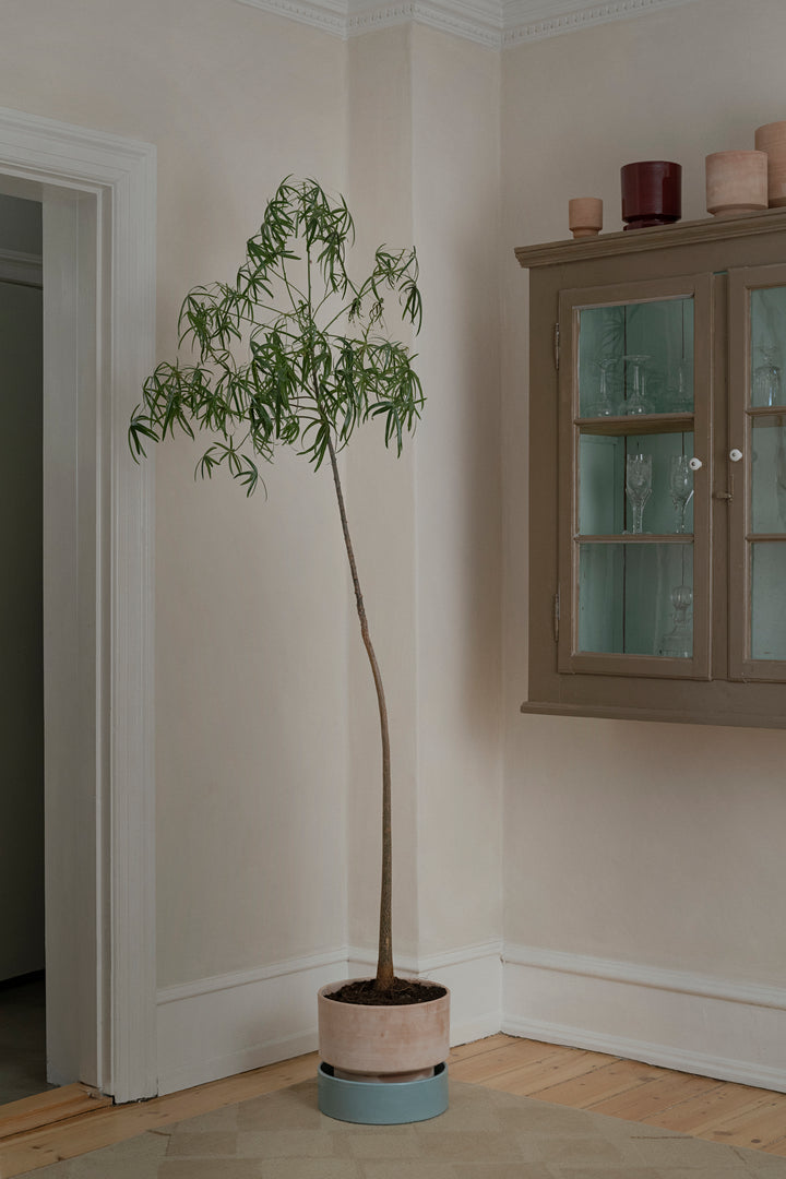 Bergs Cylinder Pot