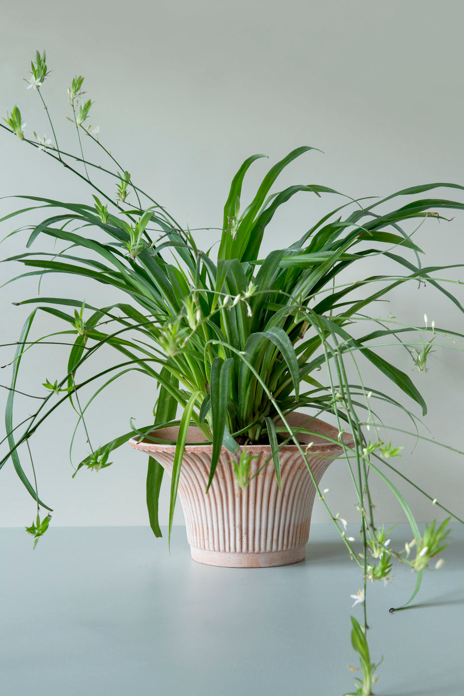 Bergs Linear Pot