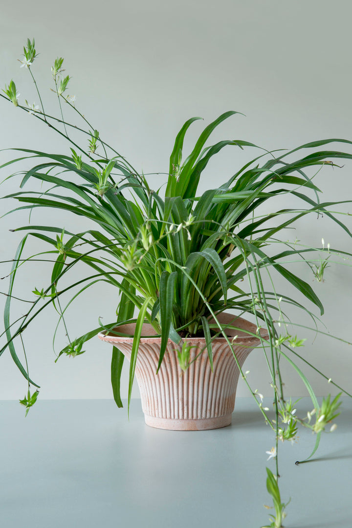 Bergs Linear Pot