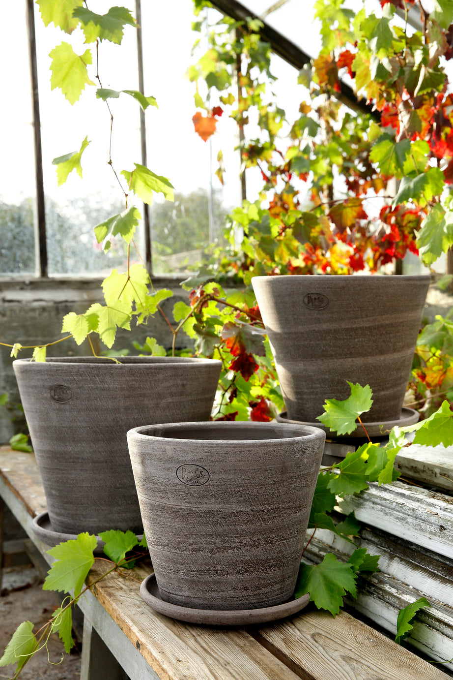 Bergs Large Simple Pot