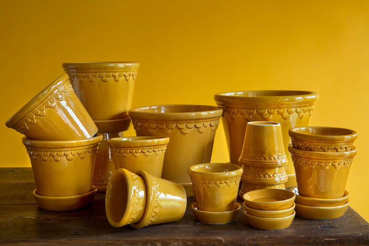 Bergs Double Scallop Pot