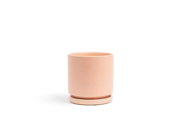 Cylinder Pot with Saucer