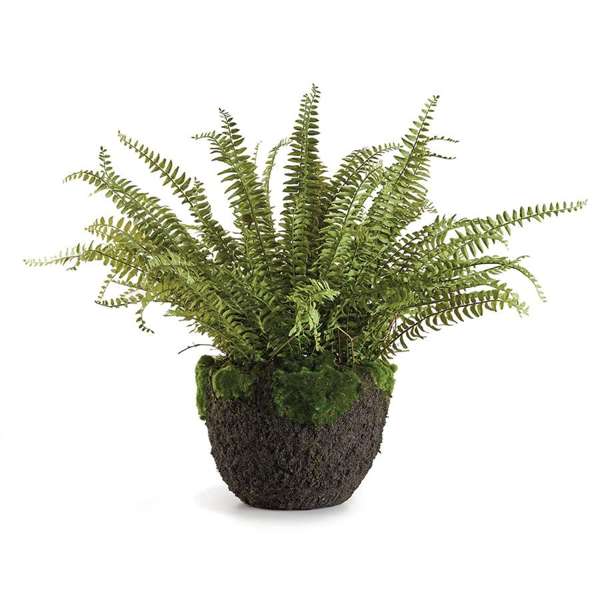 Faux Boston Fern