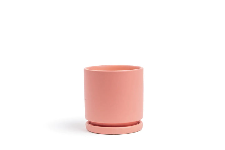Cylinder Pot with Saucer