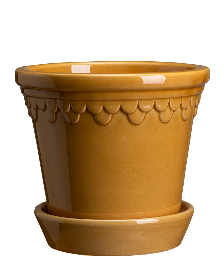 Bergs Double Scallop Pot