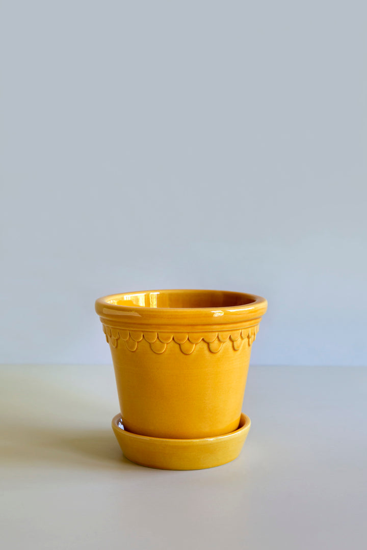 Bergs Double Scallop Pot