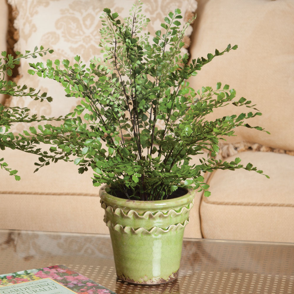 Faux Maidenhair Fern