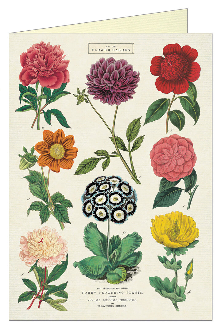 Cavallini Greeting Card