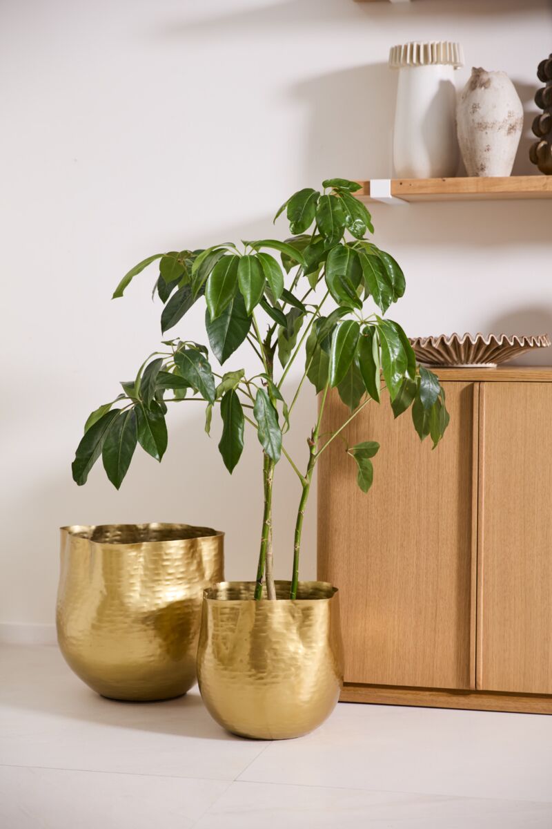 Gold Hammered Metal Pot