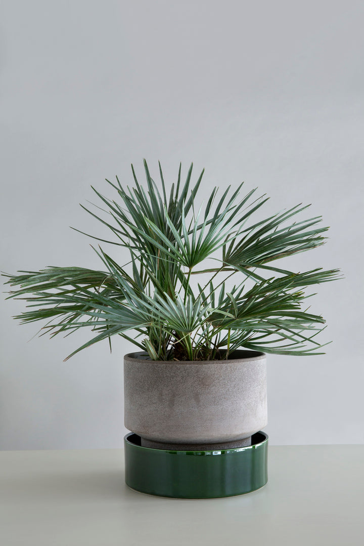 Bergs Cylinder Pot