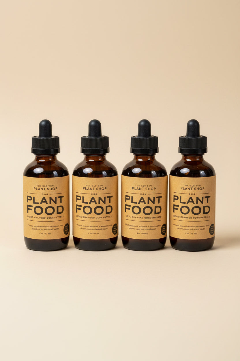Essential Plant Food