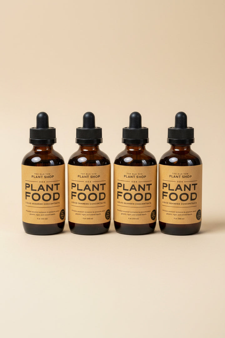 Essential Plant Food