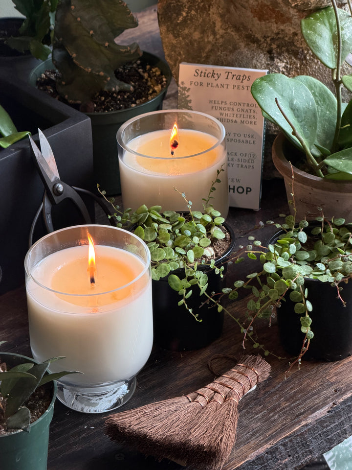 The Old Yew Candle