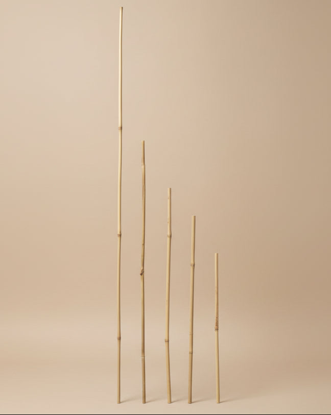 Bamboo Stake