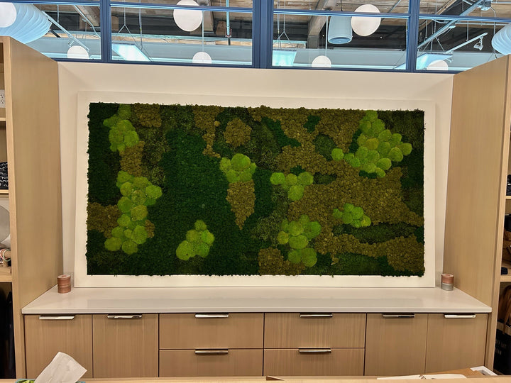 Custom Moss Wall