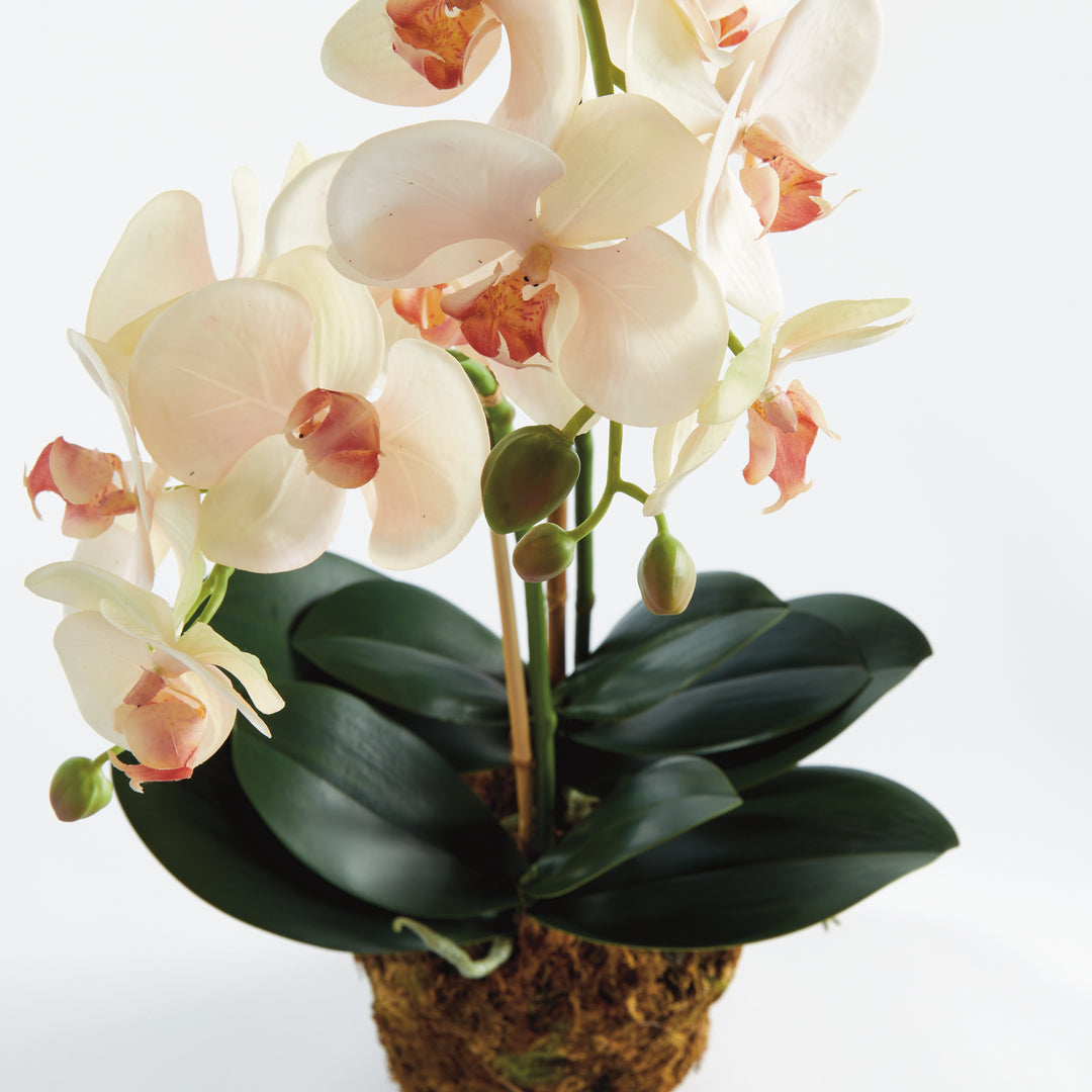 23" Faux Orchid - Pink