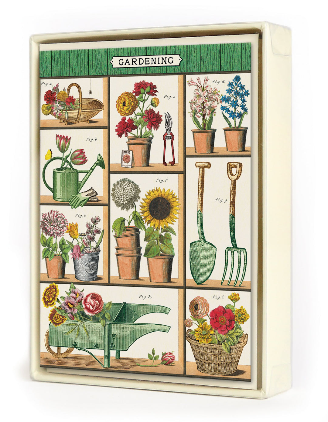 Boxed Notecards