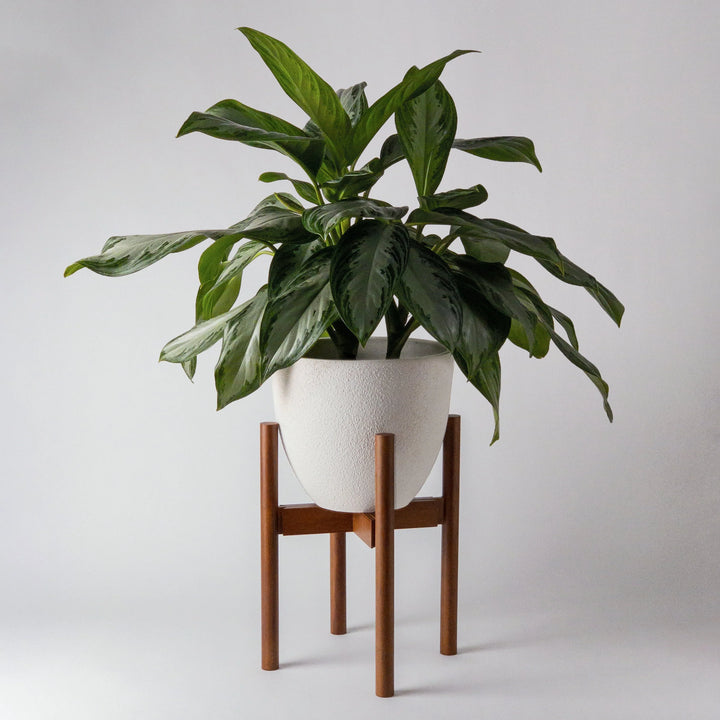 Bamboo Plant Stand