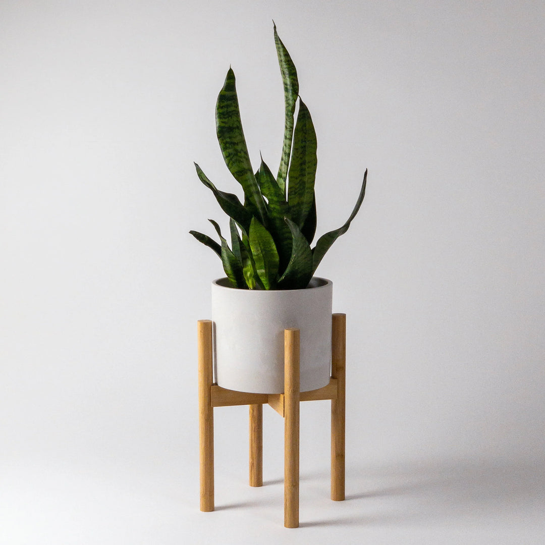 Bamboo Plant Stand