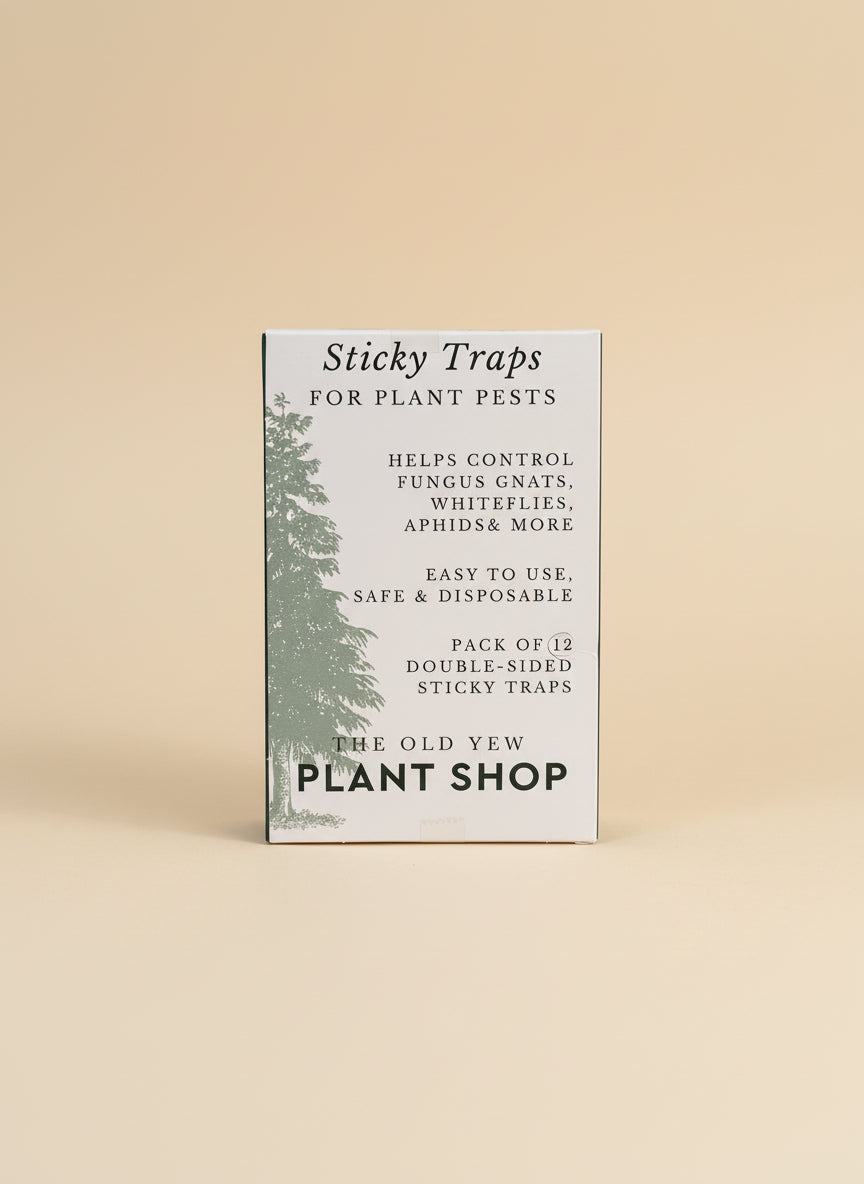 Sticky Traps for Plant Pests