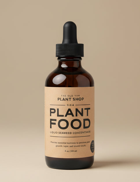 The Old Yew Plant Food