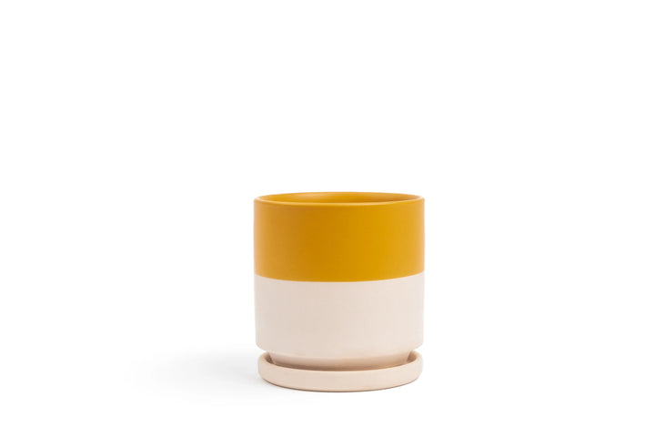Cylinder Pot with Saucer