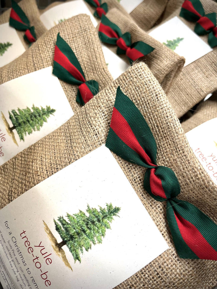 Christmas Tree to Be